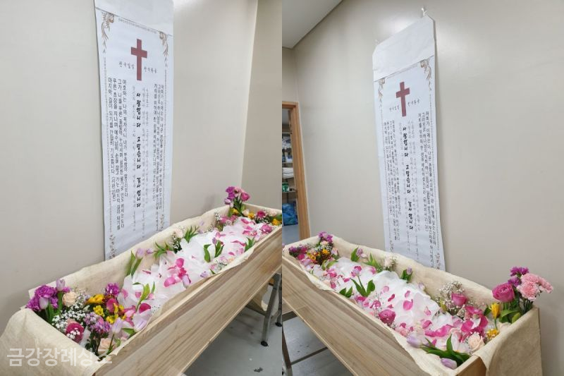 본향상조 이미지